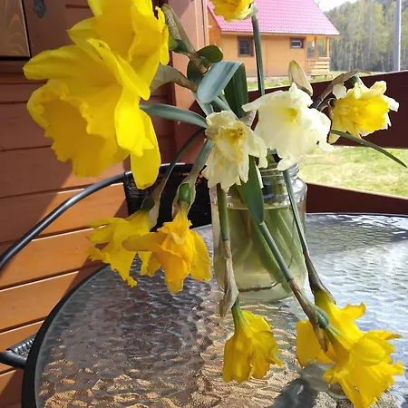 Σαλέ W Gorach Lewin Klodzki