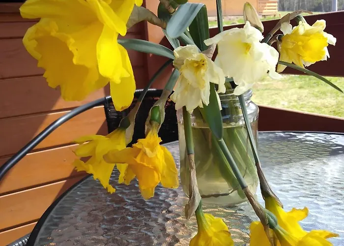 샬레 W Gorach Lewin Klodzki